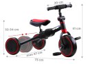 Rowerek trójkołowy 3w1 + biegowy i jeździk TINY BIKE SP0663