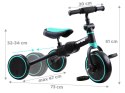 Rowerek trójkołowy 3w1 + biegowy i jeździk TINY BIKE SP0663