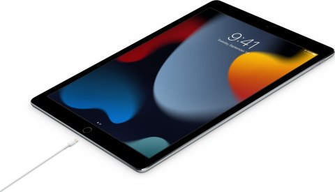Oryginalny Kabel USB C do Lightning Apple MW2R3ZM/A A2441 2m blister biały