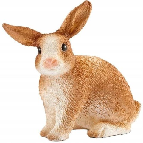 Królik
